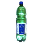 Salvus Gyógyvíz 1500 ml - Étel-ital, Ital, Víz, Gyógyvíz