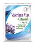Dr. Chen Valeriana Max + citromfű tabletta 30 db