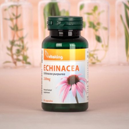 Vitaking Echinacea (Bíbor kasvirág) 400mg kapszula 100db