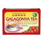 Dr. Chen Galagonya tea 20x2 g - Gyógynövény, tea, Filteres tea