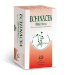 Bioextra Echinacea tea 20 x 2 g  - Gyógynövény, tea, Filteres tea